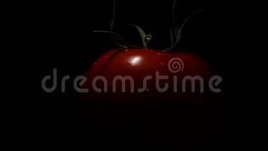 番茄在黑色背景上旋转。 依次是番茄